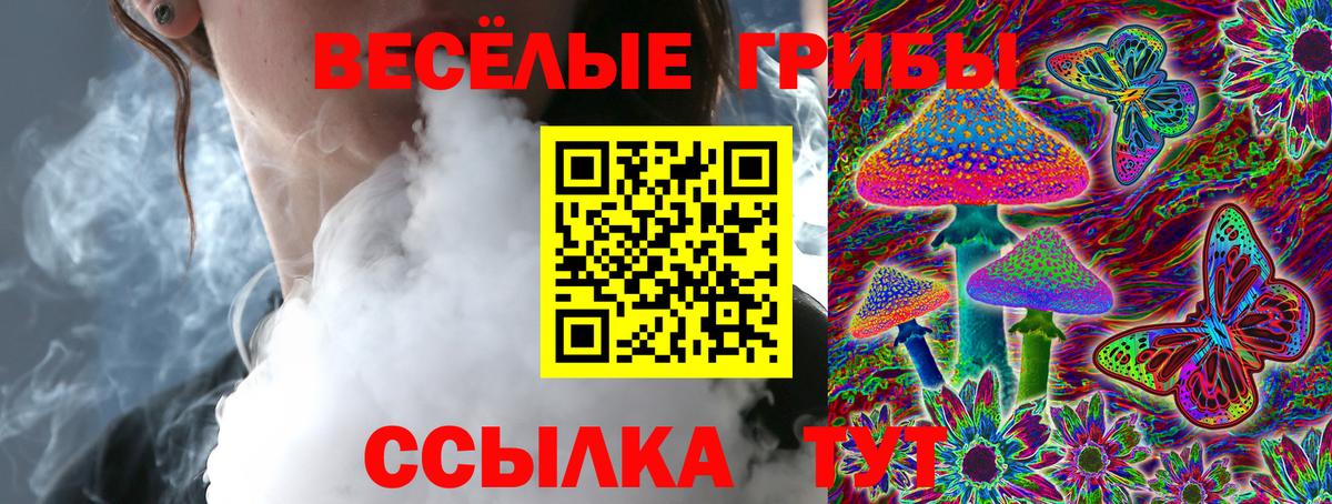 Псилоцибиновые грибы Psilocybine cubensis Медногорск