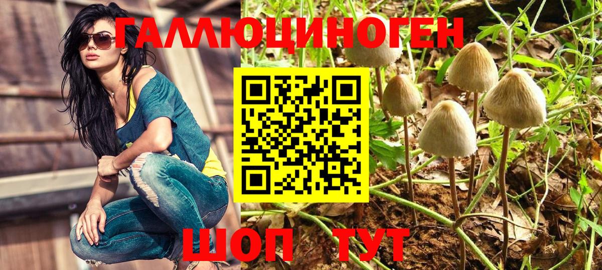 Галлюциногенные грибы MAGIC MUSHROOMS  Вход с VPN  Медногорск 
